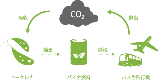 バイオ燃料とは